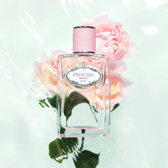 Infusion Rose Edp 100ml