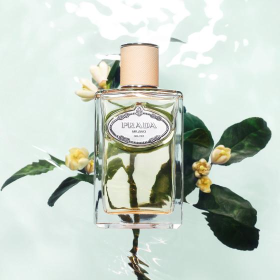 Infusion Fleur D'Oranger Edp 100ml