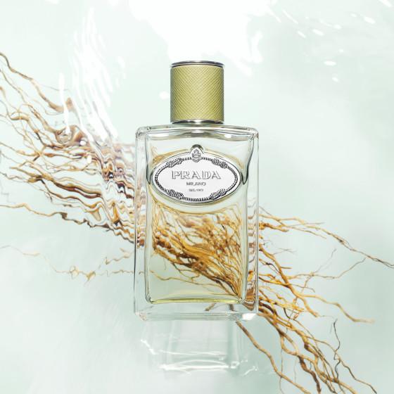 Infusion Vetiver Edp 100ml