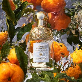 Aqua Allegoria Mandarine Basilic - Eau De Toilette 75ml